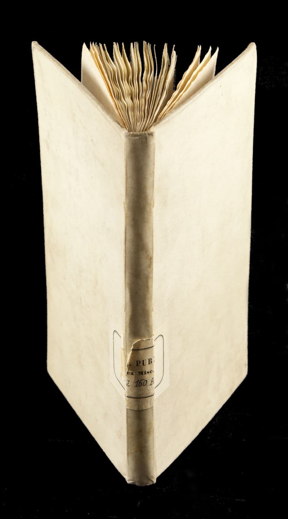 Ficino — On the Rapture of Paul & Immortality of the Soul