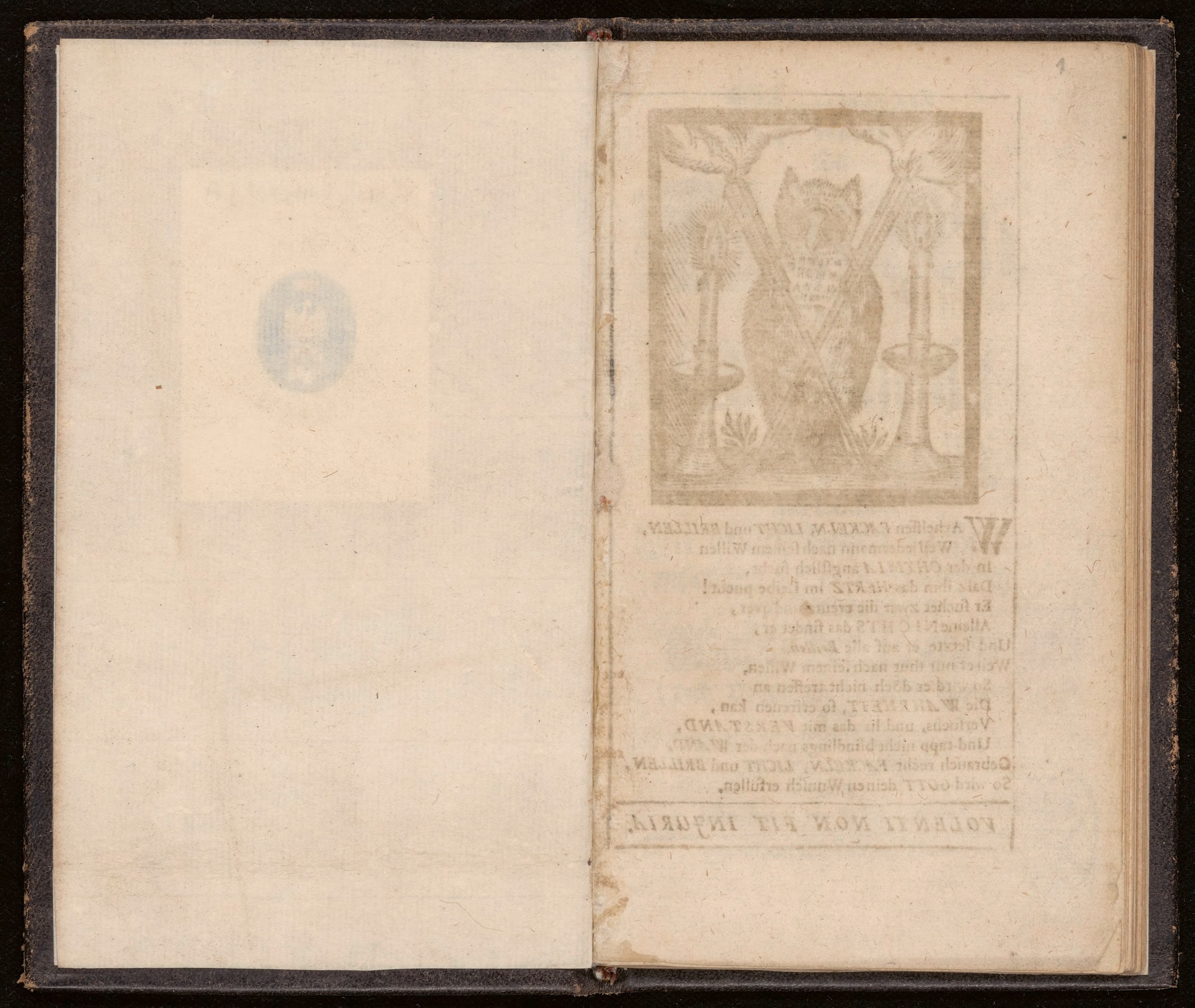 Brunnen der Weisheit und Erkänntniss der Natur