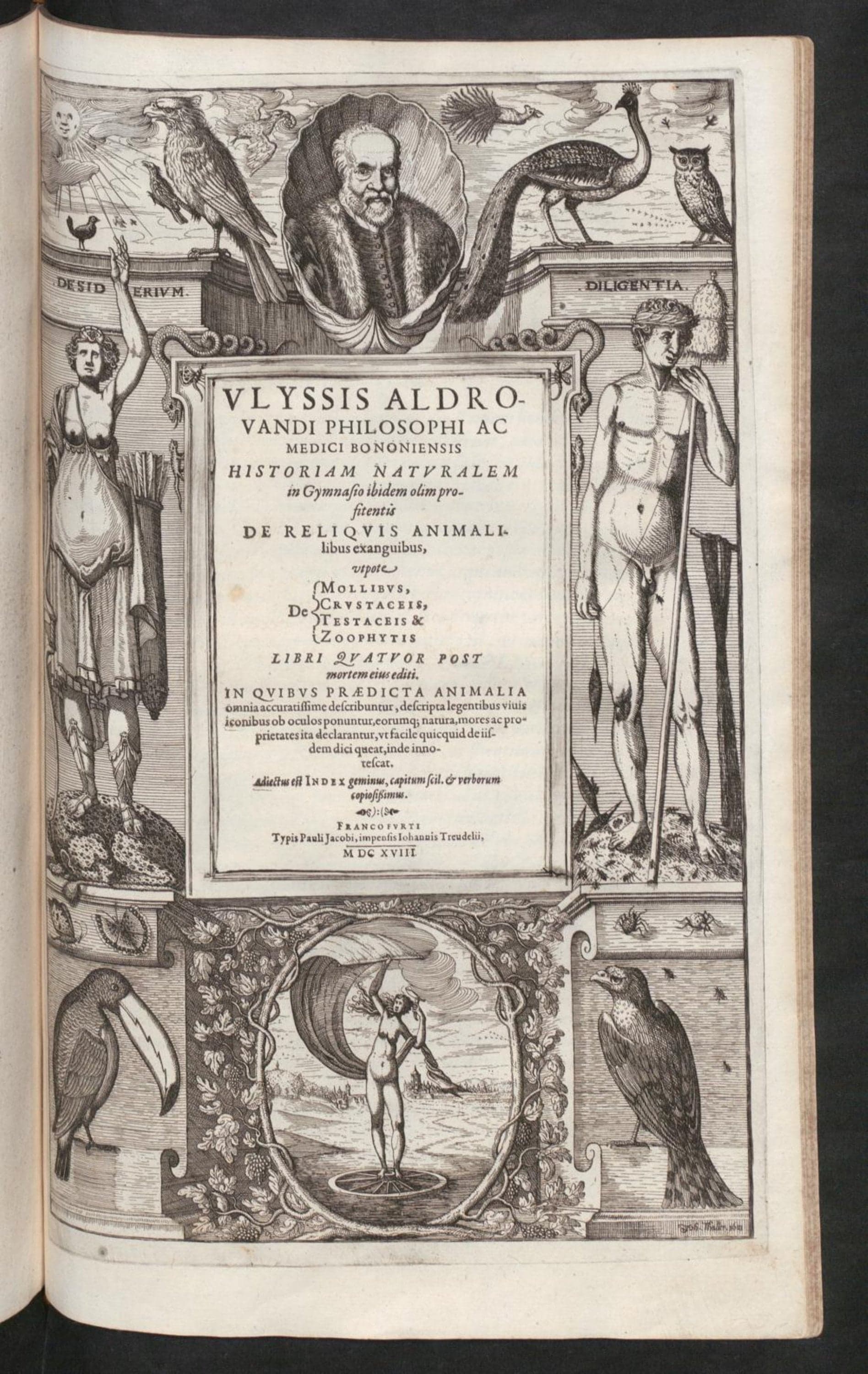 Ulyssis Aldrovandi ... De reliquis animalibus exanguibus, utpote de mollibus, crustaceis, testaceis & zoophytis, libri quatuor post mortem eius editi