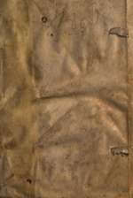 On the Nature of Plants