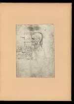 Notes and Drawings on the Human Body