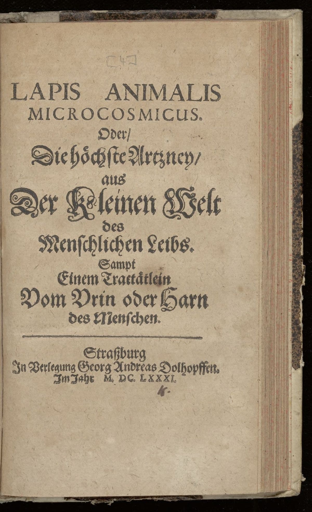 Lapis animalis microcosmicus. Oder, die höchste Artzney, aus der kleinen Welt des menschlichen Leibs