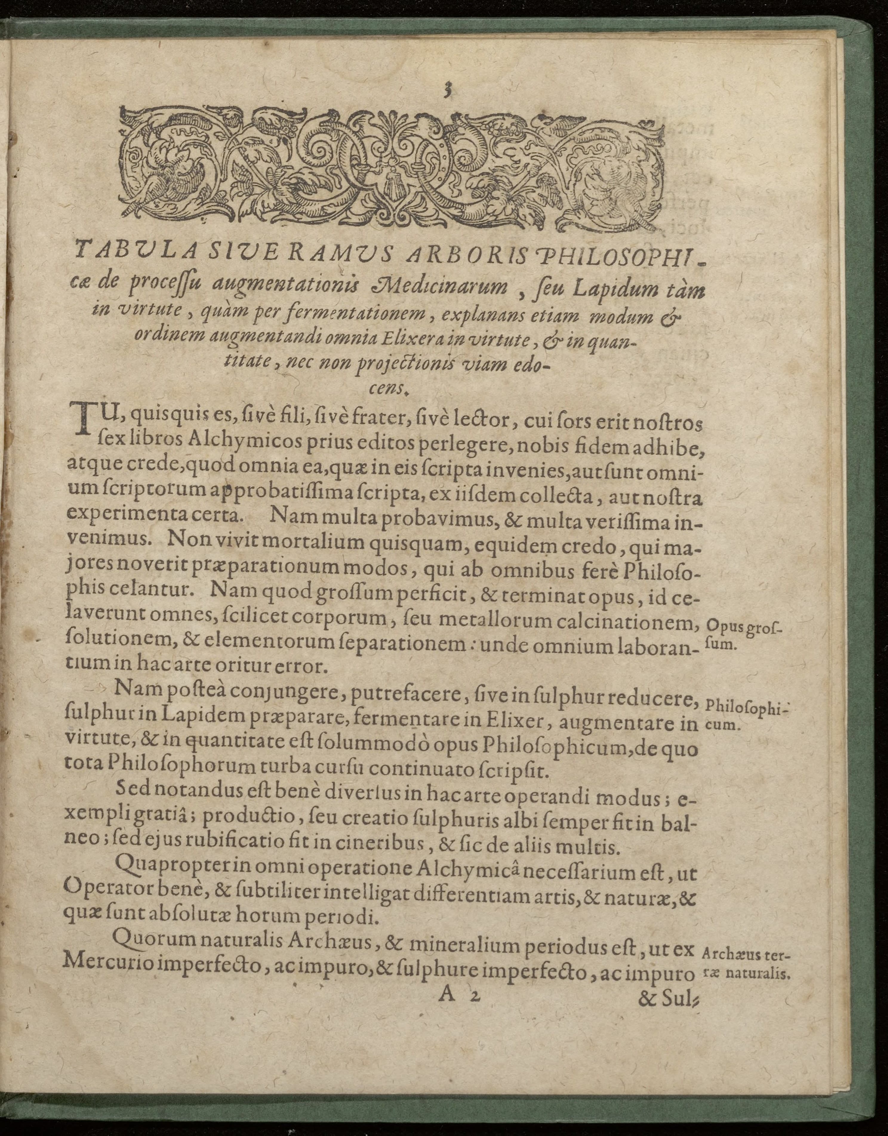 Alchymiae complementum, et perfectio