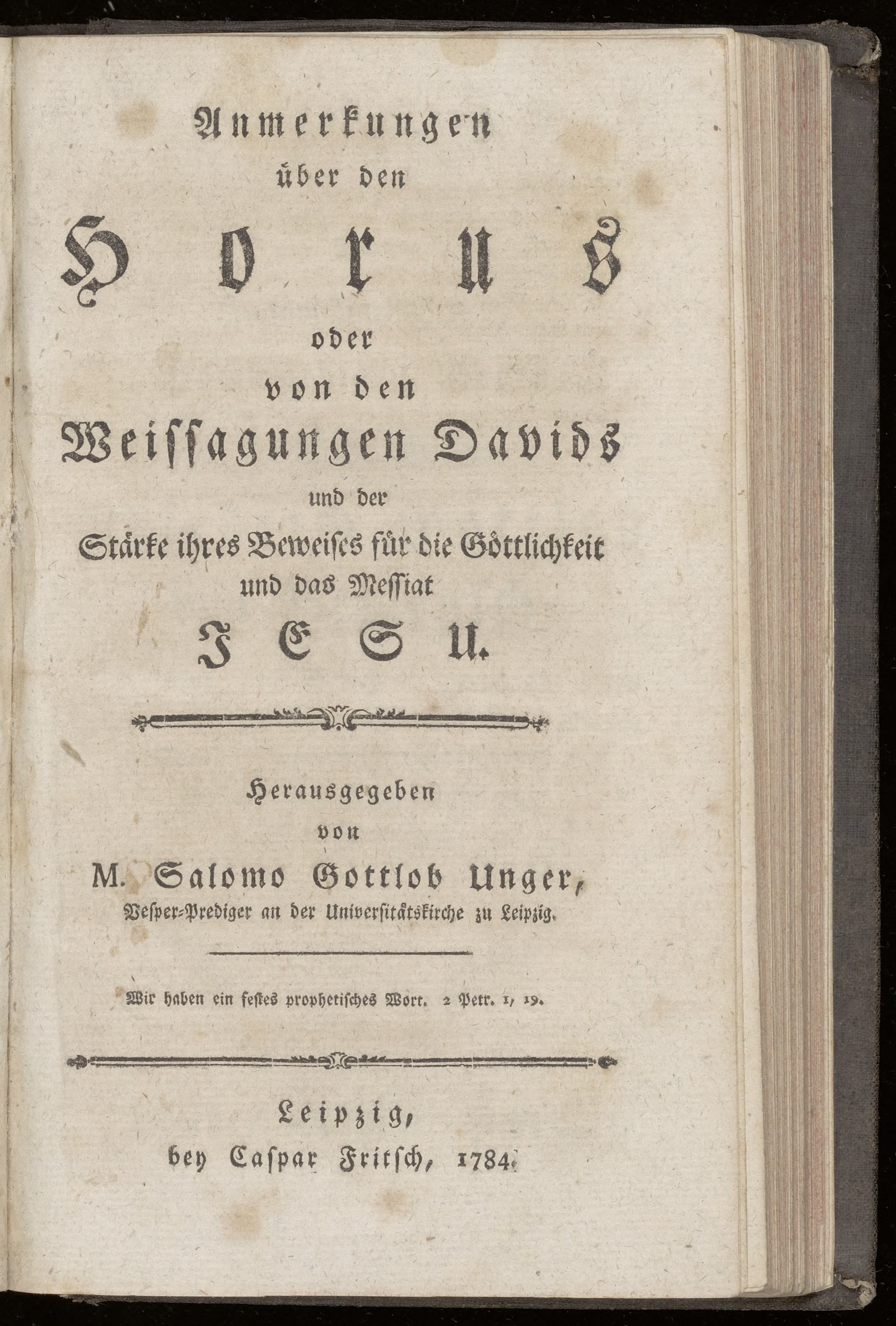 Anmerkungen ueber den Horus