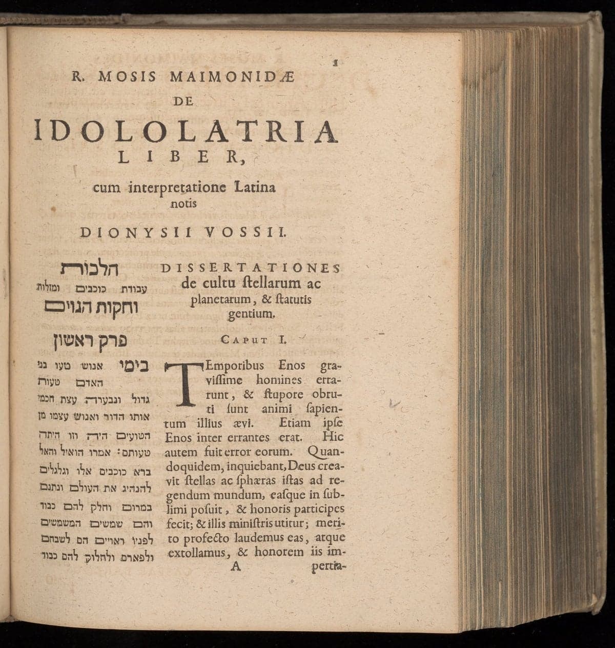 De idolatria liber