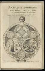 On the Triple Anatomy