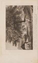 Mémoires sur le magnétisme animal