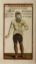 A Short Opening of the Three Principles and Worlds in Man