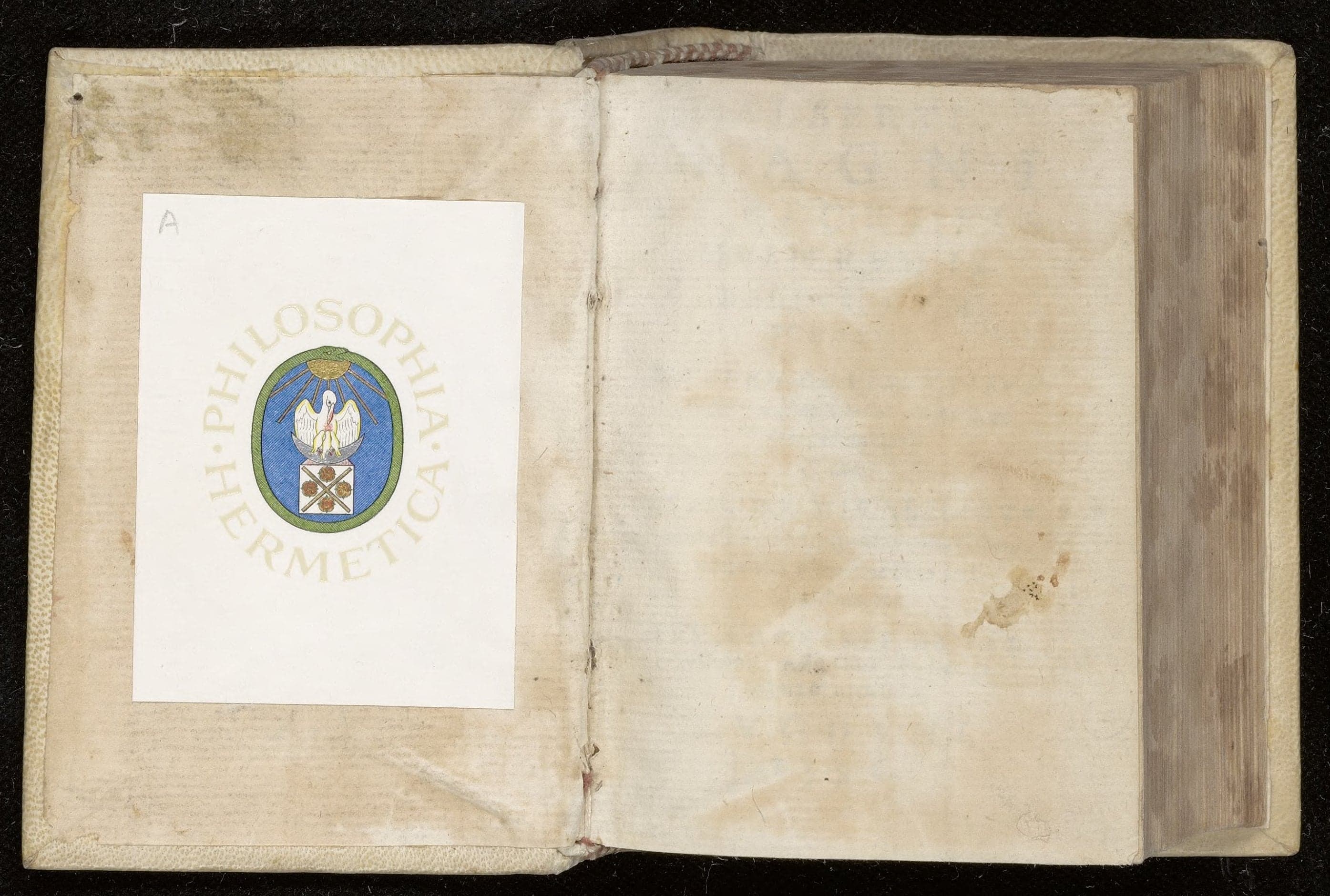 De secretis mulierum. De virtutibus herbarum, lapidum, et animalium. De mirabilibus mundi. De falconibu, asturibus, et accipitribus