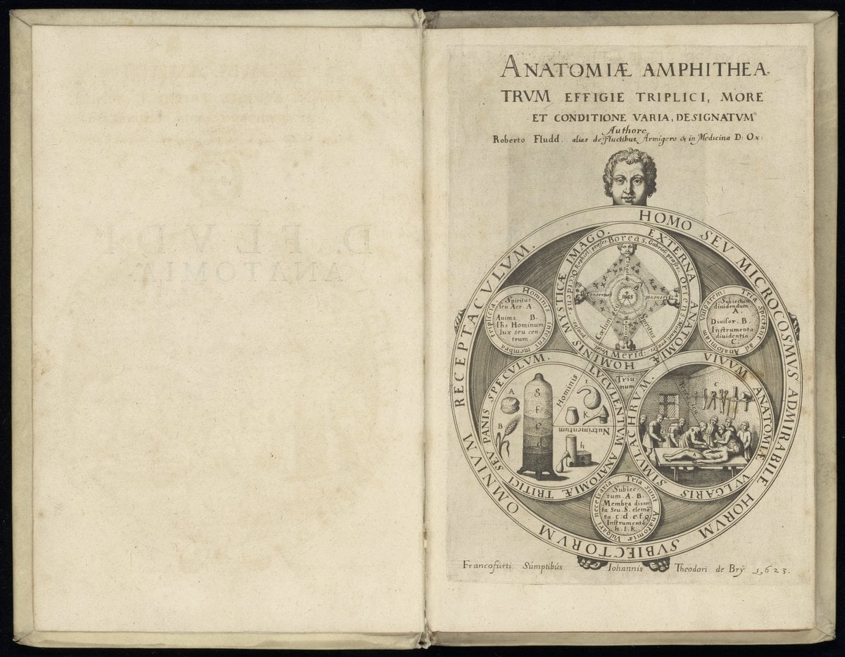 On the Triple Anatomy