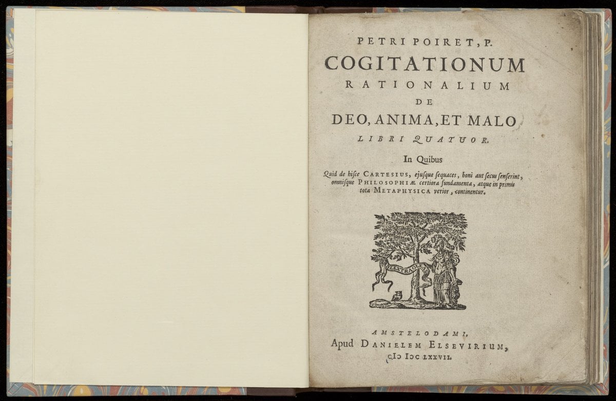 Rational Thoughts on God, the Soul, and Evil