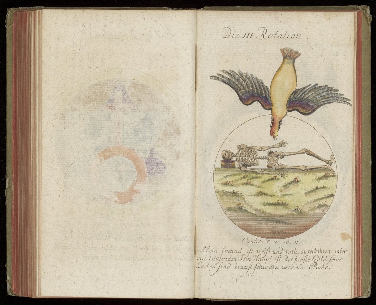 The Compass of the Wise