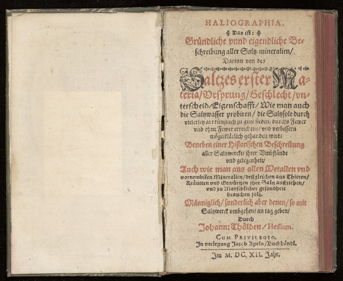 Haliographia: A Description of All Salt Minerals