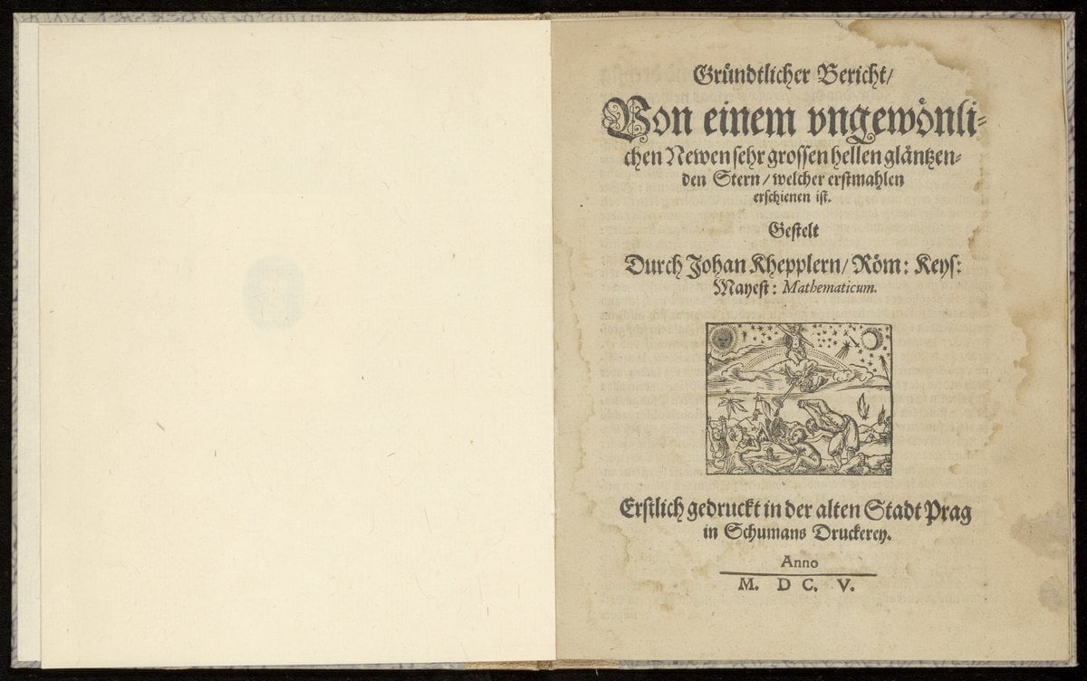 Thorough Report on a New and Unusual Star