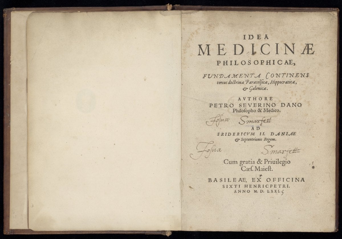 The Idea of Philosophical Medicine