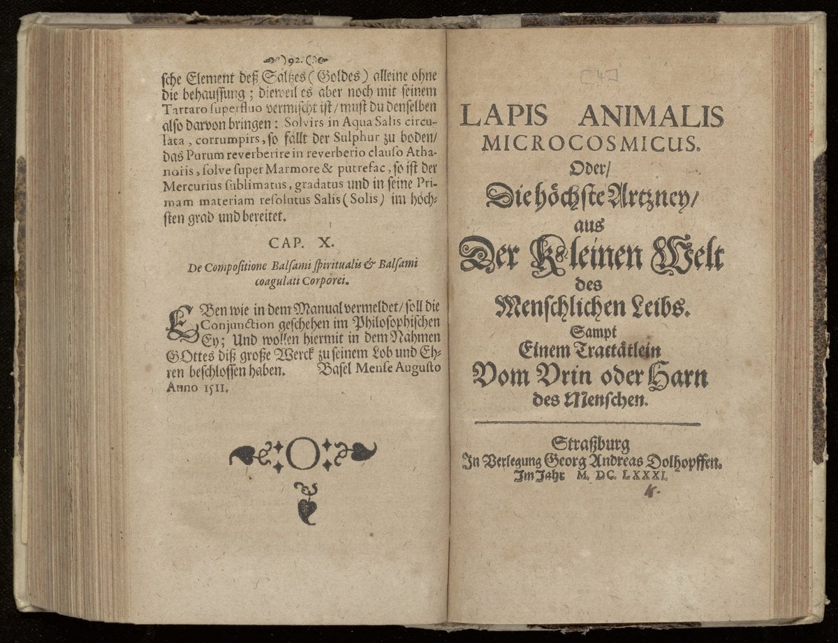 The Microcosmic Animal Stone, or the Supreme Medicine from the Little World of the Human Body