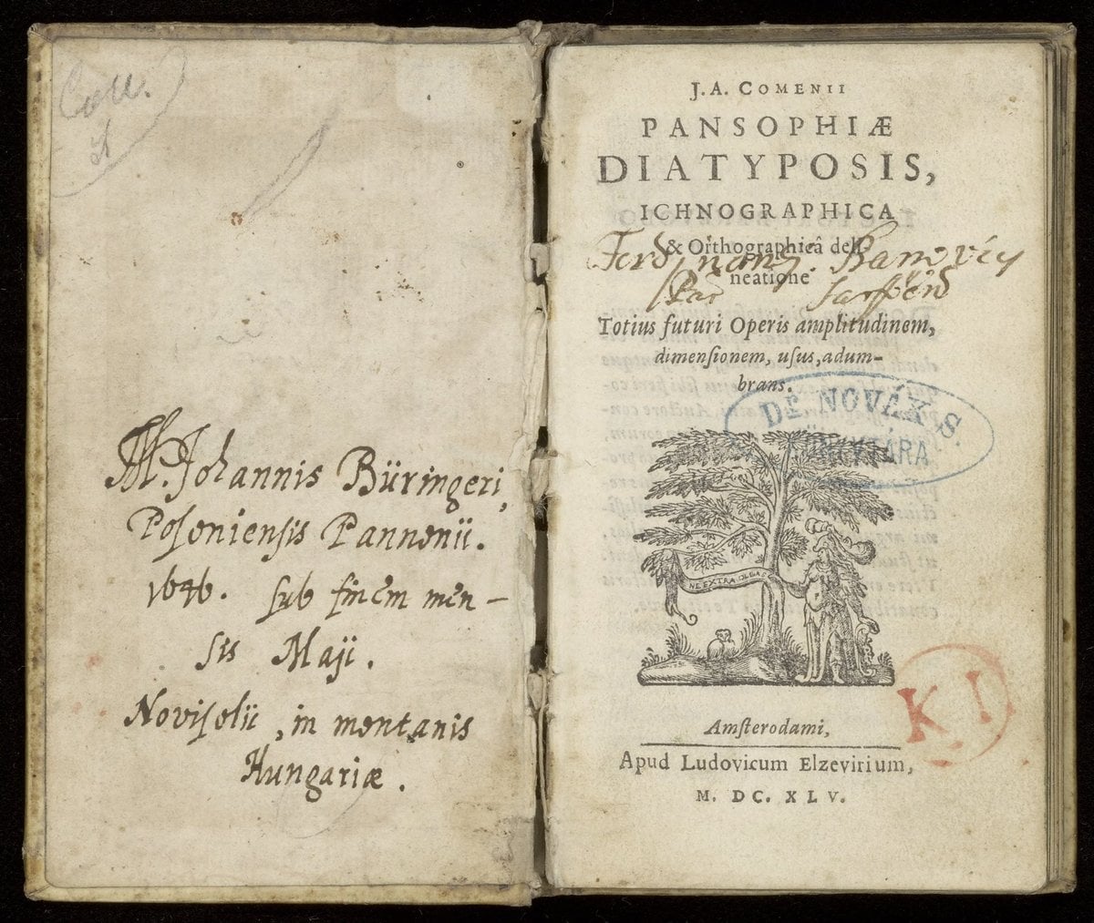 A Sketch of Universal Wisdom